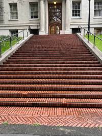 The Haviland stairs after rain